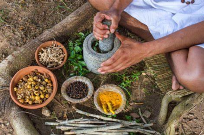 Time-Tested Elixirs: The Effectiveness of Ancient Asian Remedies in Modern Healing